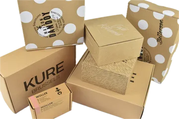 Expresní doručení Krabice v Zwijnaarde BE